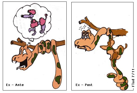 post ante post ante